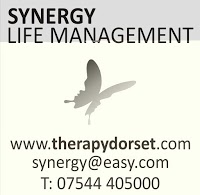 Synergy Life Management 643406 Image 2